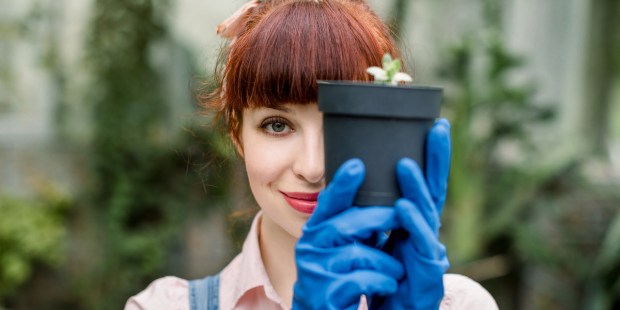 GARDENER