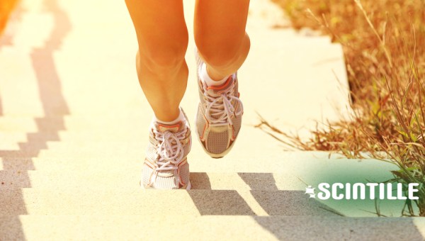 SCINTILLE, COVER, RUNNER