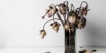 WITHERED FLOWERS,