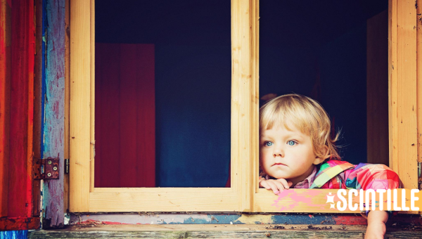 SCINTILLE, COVER, WINDOW