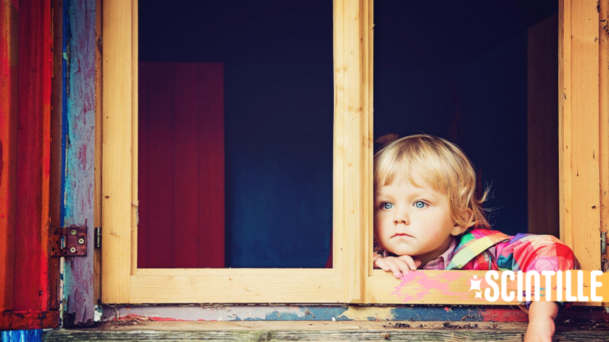 SCINTILLE, COVER, WINDOW