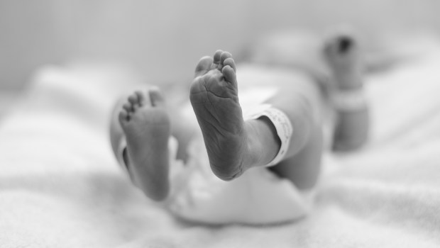 NEWBORN
