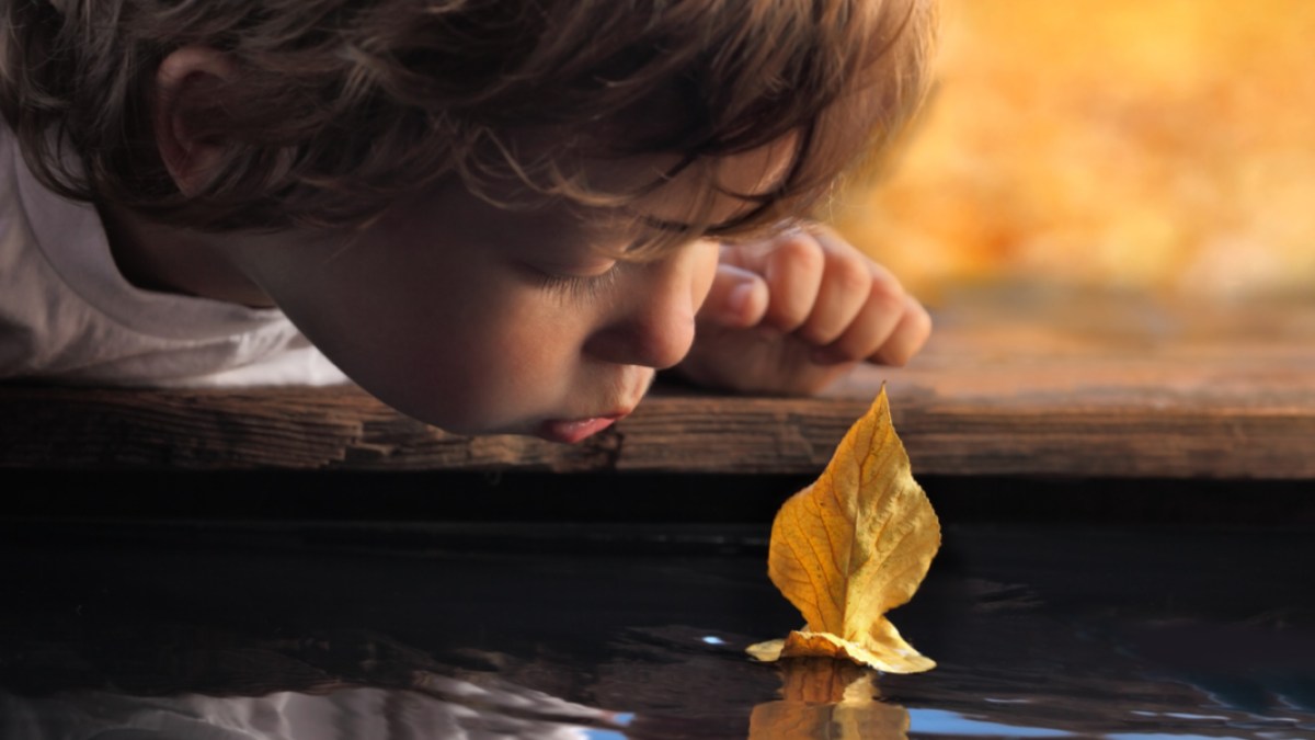 CHILD, WONDER, LEAF
