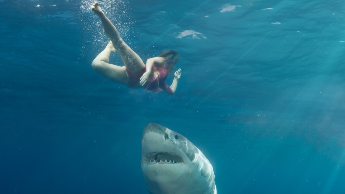 WOMAN, SHARK, SEA
