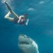 WOMAN, SHARK, SEA