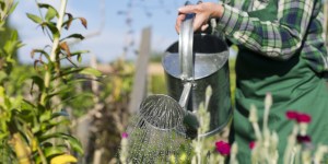 Coltivare la propria anima come un giardino: quattro consigli di santa Teresa d’Ávila