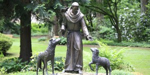Perché San Francesco d&#8217;Assisi non è stato ordinato sacerdote?