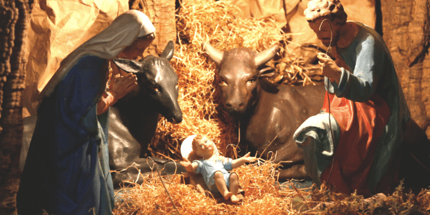 CRIB, OX, DONKEY
