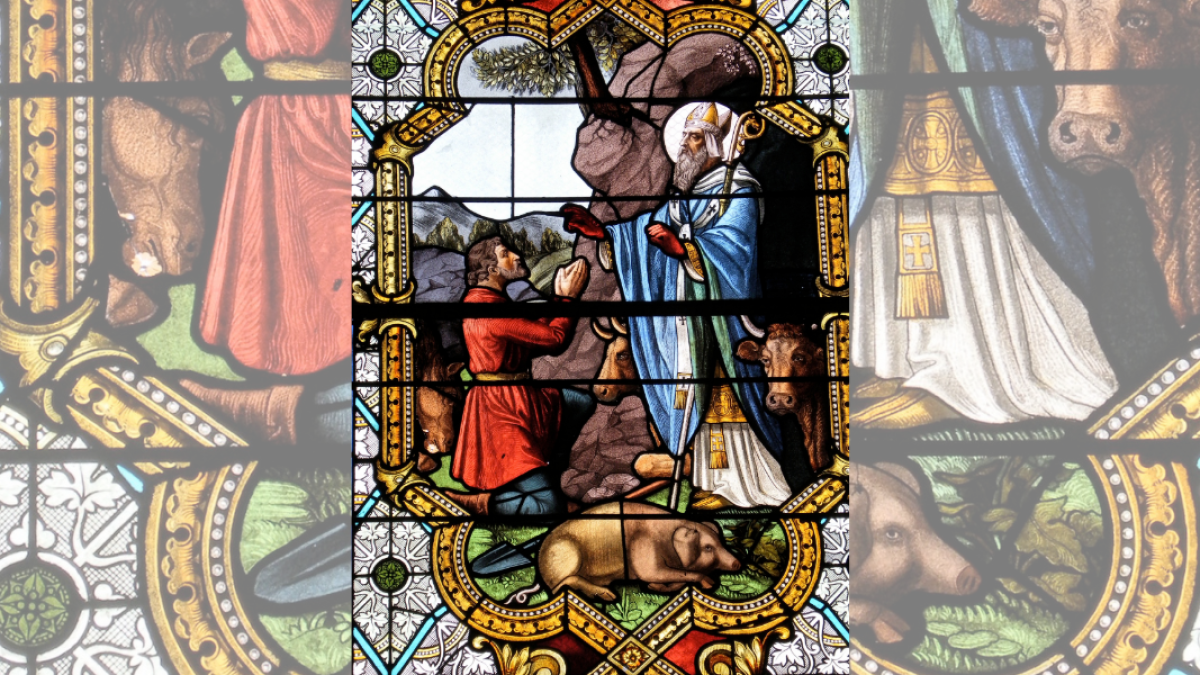 SAINT ANTONY, PIG, STAINED GLASS