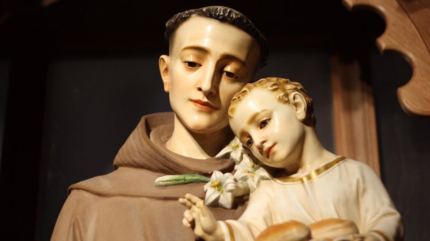 Saint Anthony of Padua