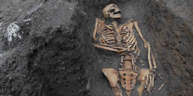 Friar bone analysis