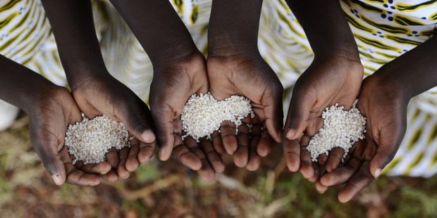 AFRICA, HANDS, RICE