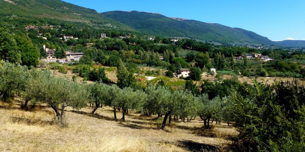 (FOTOGALLERY) Seguendo San Francesco nella valle di Spoleto
