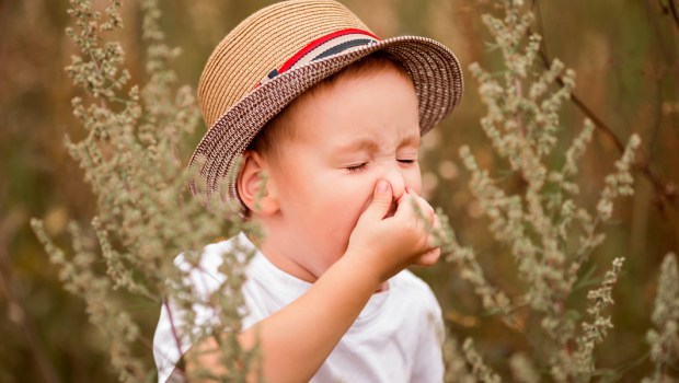 POLLEN,
