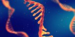 RNA