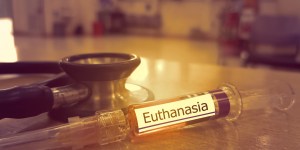 La terapia dello shock per far passare l&#8217;eutanasia