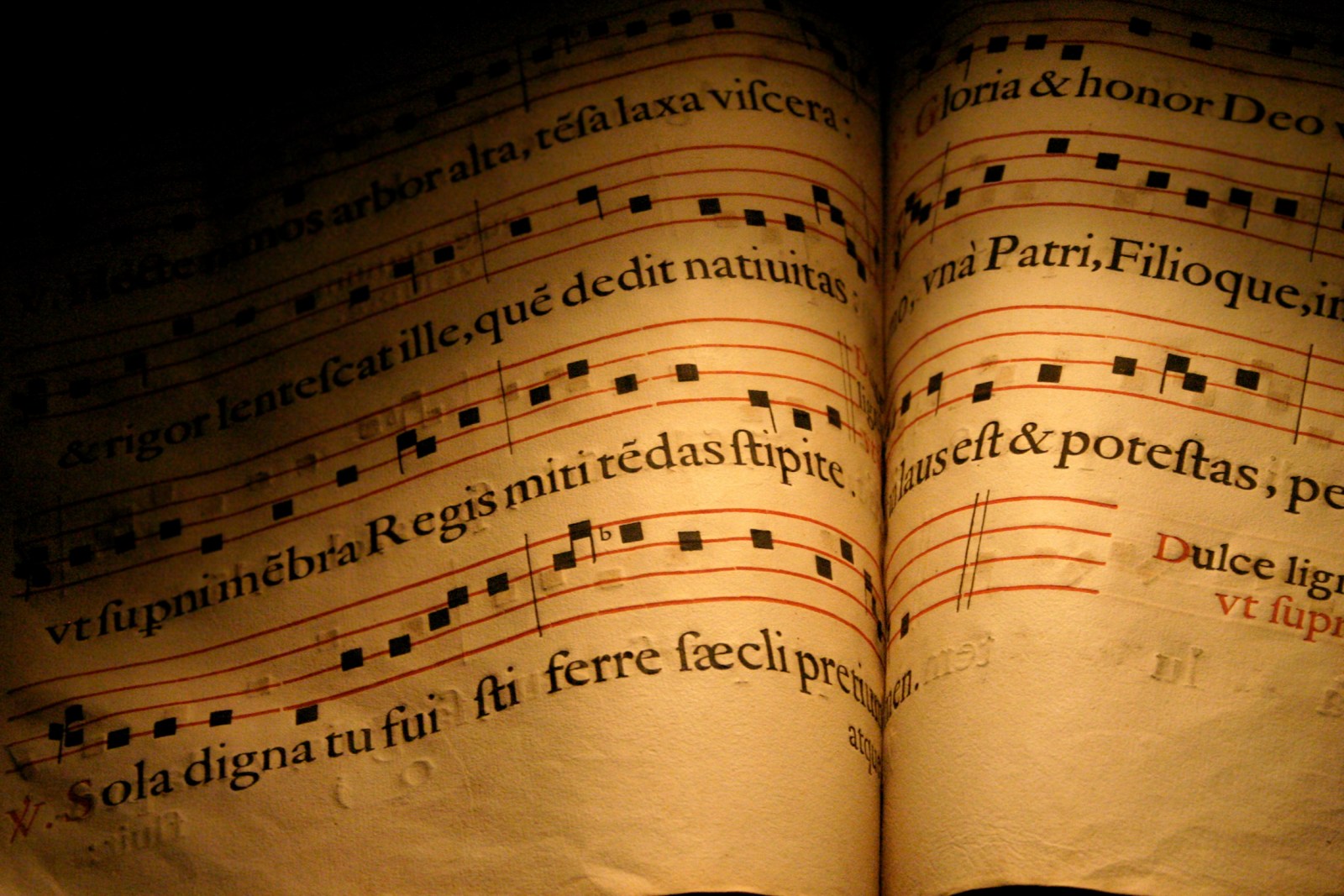 cei liturgia delle ore app