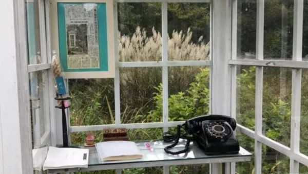 IL TELEFONO DEL VENTO,