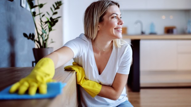 HAPPY HOUSEWIFE