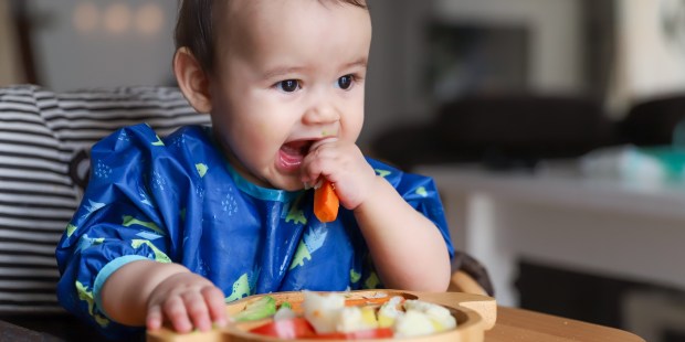 ALIMENTI BAMBINI