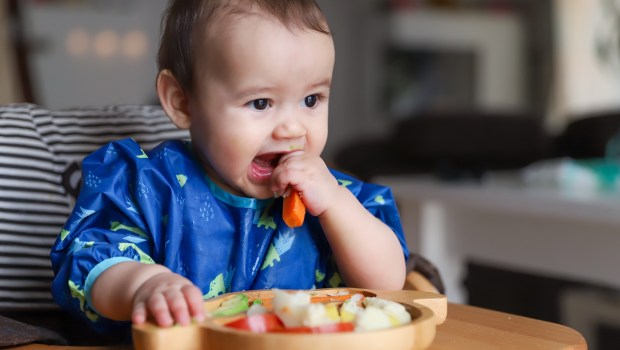 ALIMENTI BAMBINI