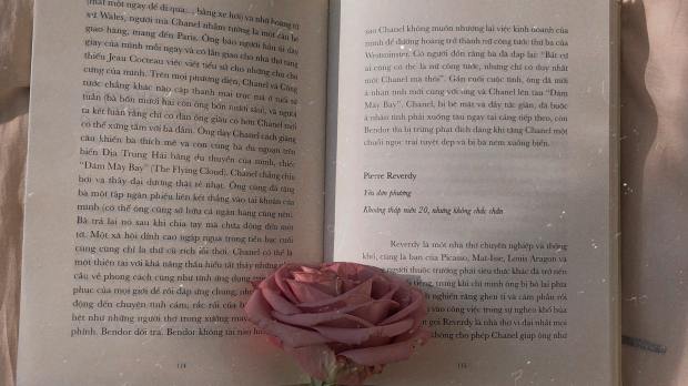 BOOK, ROSE, PINK