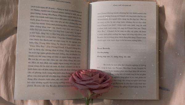 BOOK, ROSE, PINK
