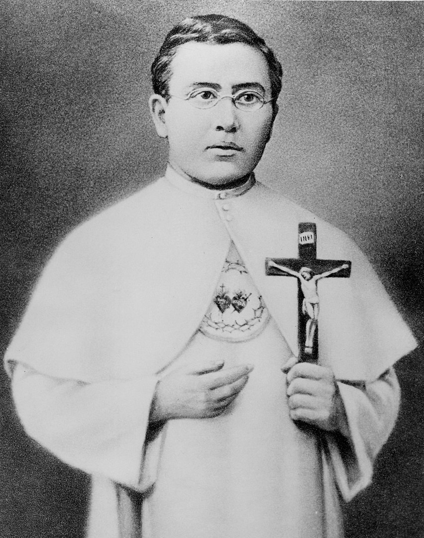 1_Father_Damien_as_a_seminarian_in_France_around_1863.jpeg