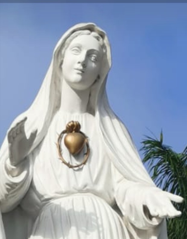 VIRGIN
