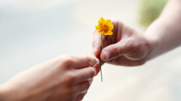 HANDS, GIVING, FLOWER