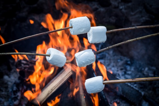 fire