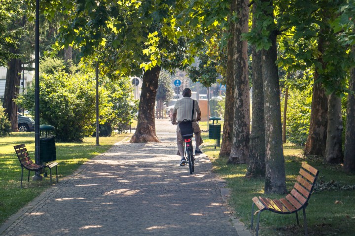 MAN, PARK, BIKE