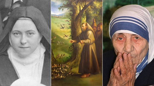 WEB-Saint-Frncesco-DAssisi-Mother-Teresa-Teresa-di-Lisieux_.jpg