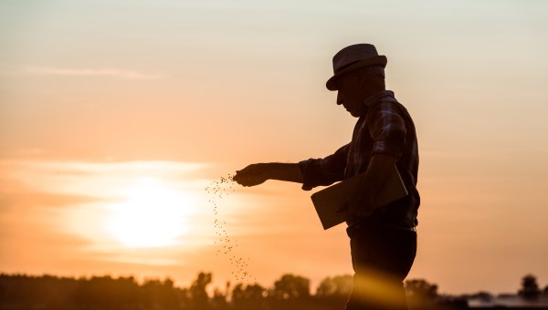 FARMER, SEEDS, SUNSET