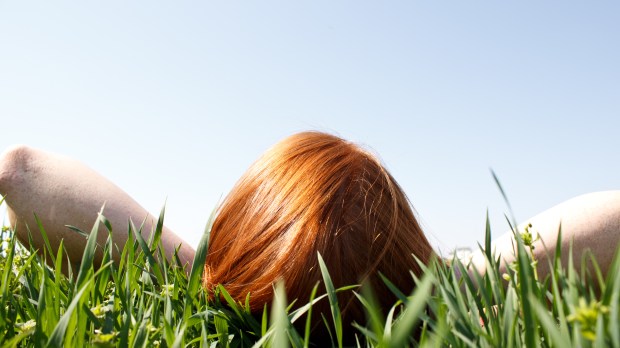 LOOK, SKY, GRASS