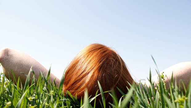 LOOK, SKY, GRASS