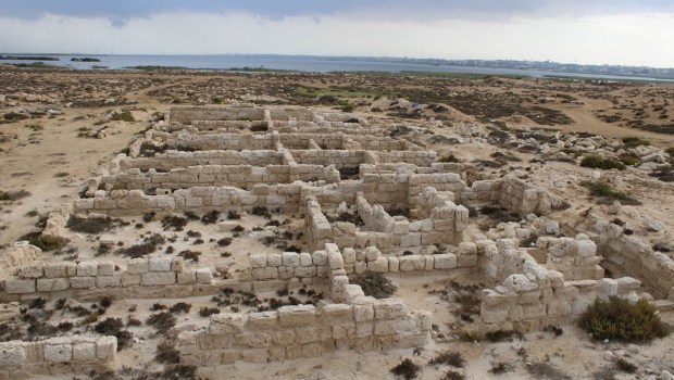 Marea Archaeological Project