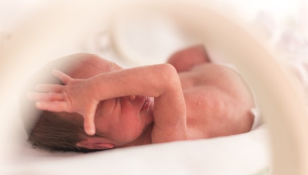 PREMATURE, BABY, GIRL