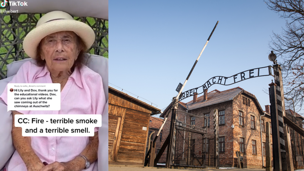 LILY EBERT, AUSCHWITZ, TIKTOK
