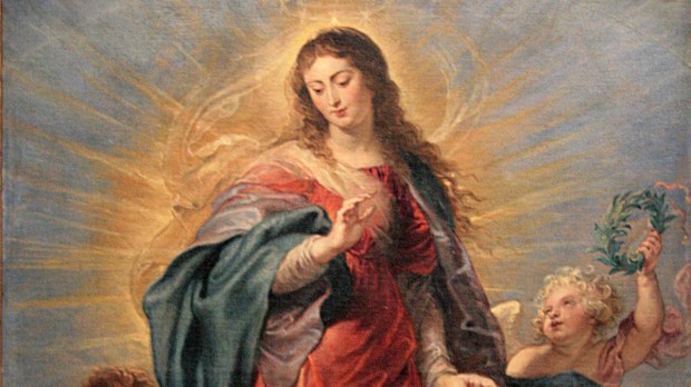 IMMACULATE CONCEPTION
