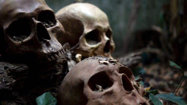 SKULLS