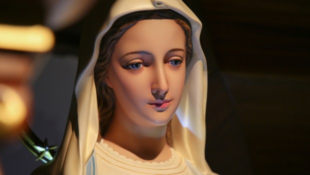 VIRGIN
