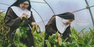 I segreti del Natale in un convento di clausura