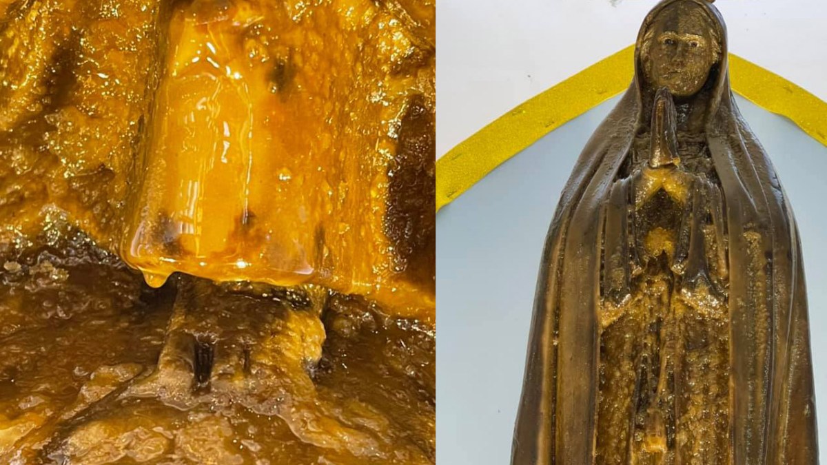 WEB3-VIRGIN-HONEY-BRAZIL-11-Mons-Edmilson-Jose-Zanin.jpg