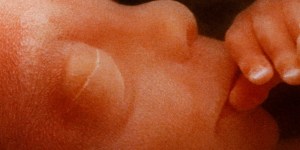 Cosa dice la Bibbia sull&#8217;aborto?