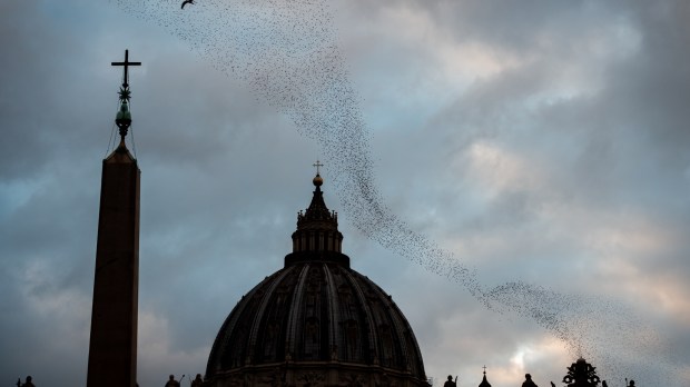 Papal-Basilica-of-Saint-Peter-in-the-Vatican-Antoine-Mekary-ALETEIA