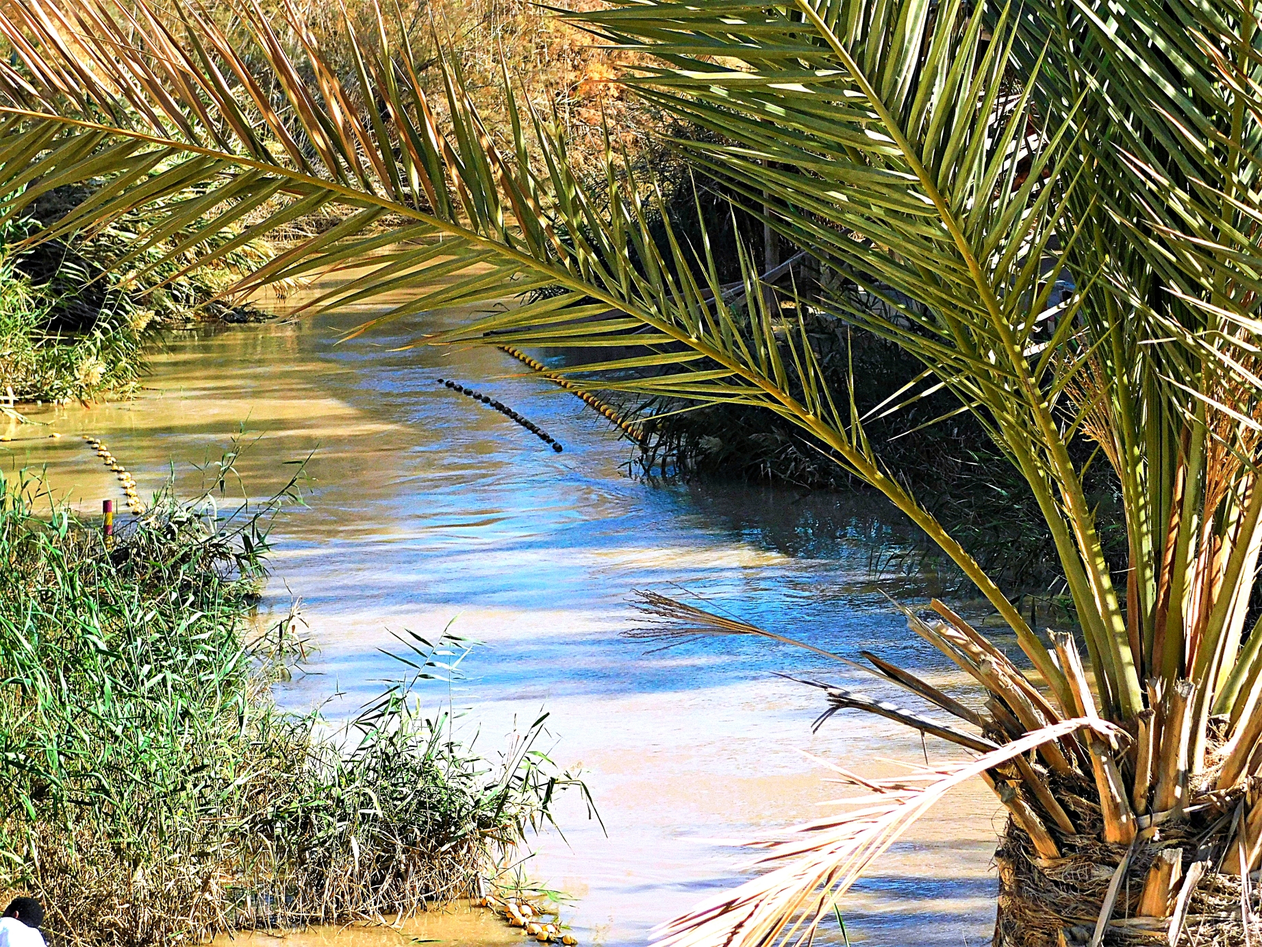 WEB3-04-Jordan-River-at-Baptismal-Site_PhotoCredit-Sr.-Amata-CSFN.jpg