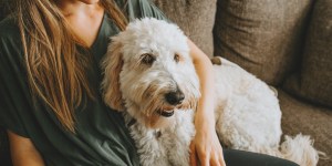 Gli amici a 4 zampe, una forma di cura per le patologie da stress