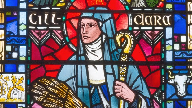 saint Brigid of Kildare