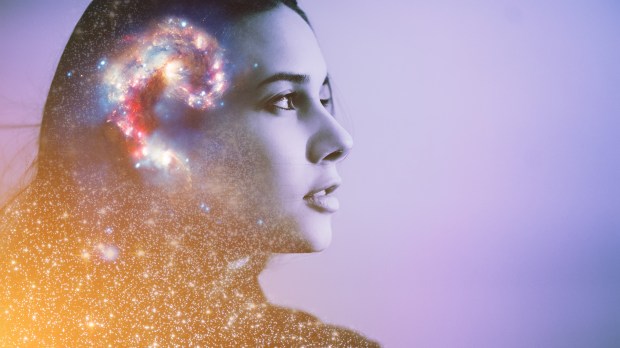 WOMAN, BRAIN, UNIVERSE